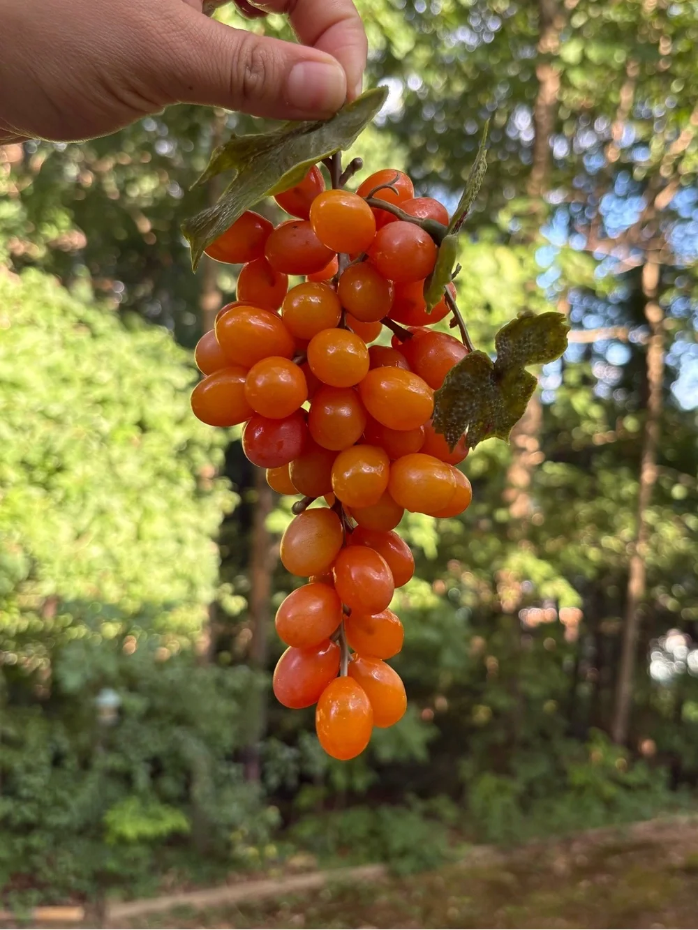 Orange Decorative Grapes Hanging All included
